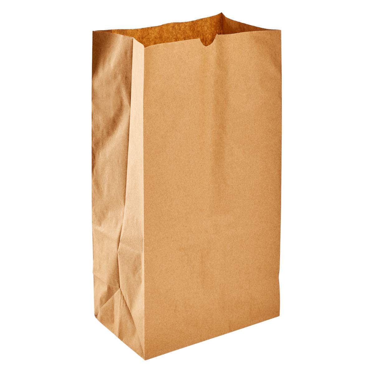 Karat - 7.01" x 4.41" x 12.99" Kraft Paper Bag, Pack of 1000 - KAR120K