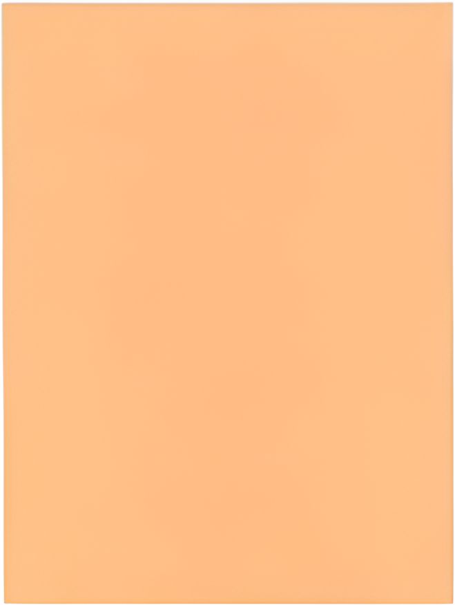 10" X 30" Peach Steak Paper, 1000/Cs - F0210300
