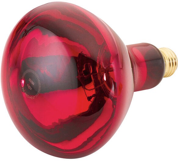Cres Cor - 120V, 250 Watt Red Infrared Light Bulb - 0820-001 (Pre-Order Now, ETA 4-6 Weeks)