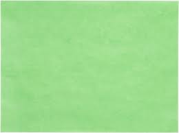 Joshen Paper & Packaging - 12" X 30" Green Steak Paper - 425052