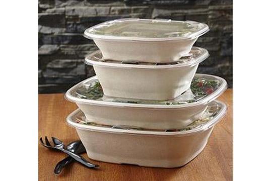 Sabert - 160 Oz  Natural Square Pulp Catering Bowl, Pack of 25 - SAB42141600D25