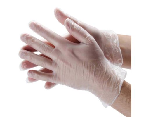 International Golden Maple Plastic & Paper Inc - Large Vinyl Disposable Gloves, 100/box - 35272203PF